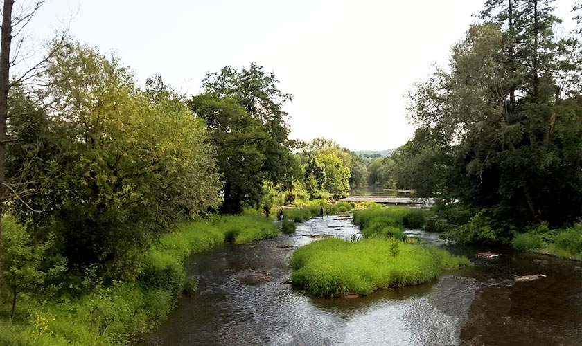 Bootstour von Elfershausen nach Westheim